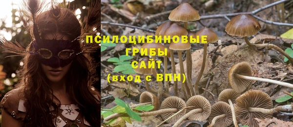 спайс Алзамай