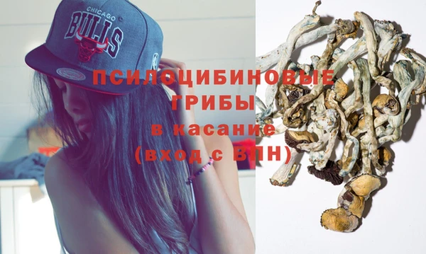 спайс Алзамай