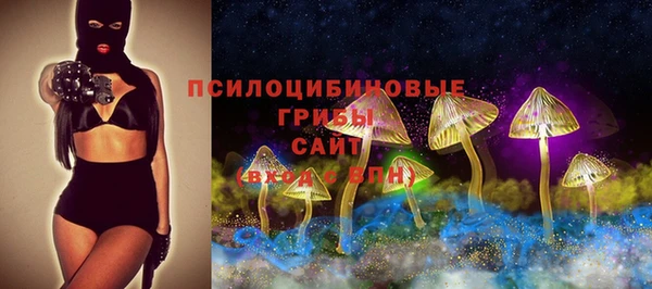 спайс Алзамай