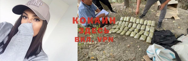 спайс Алзамай