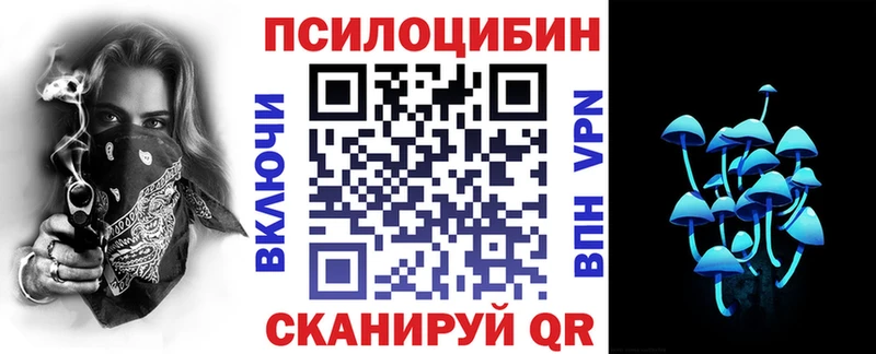 купить наркотик  Морозовск  Псилоцибиновые грибы мицелий 